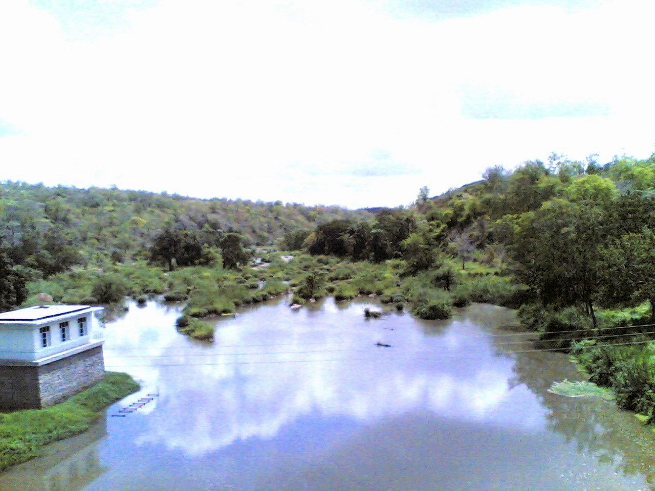 Wami River landscape in Tanzania, representing riverine environments in helminth-endemic regions.