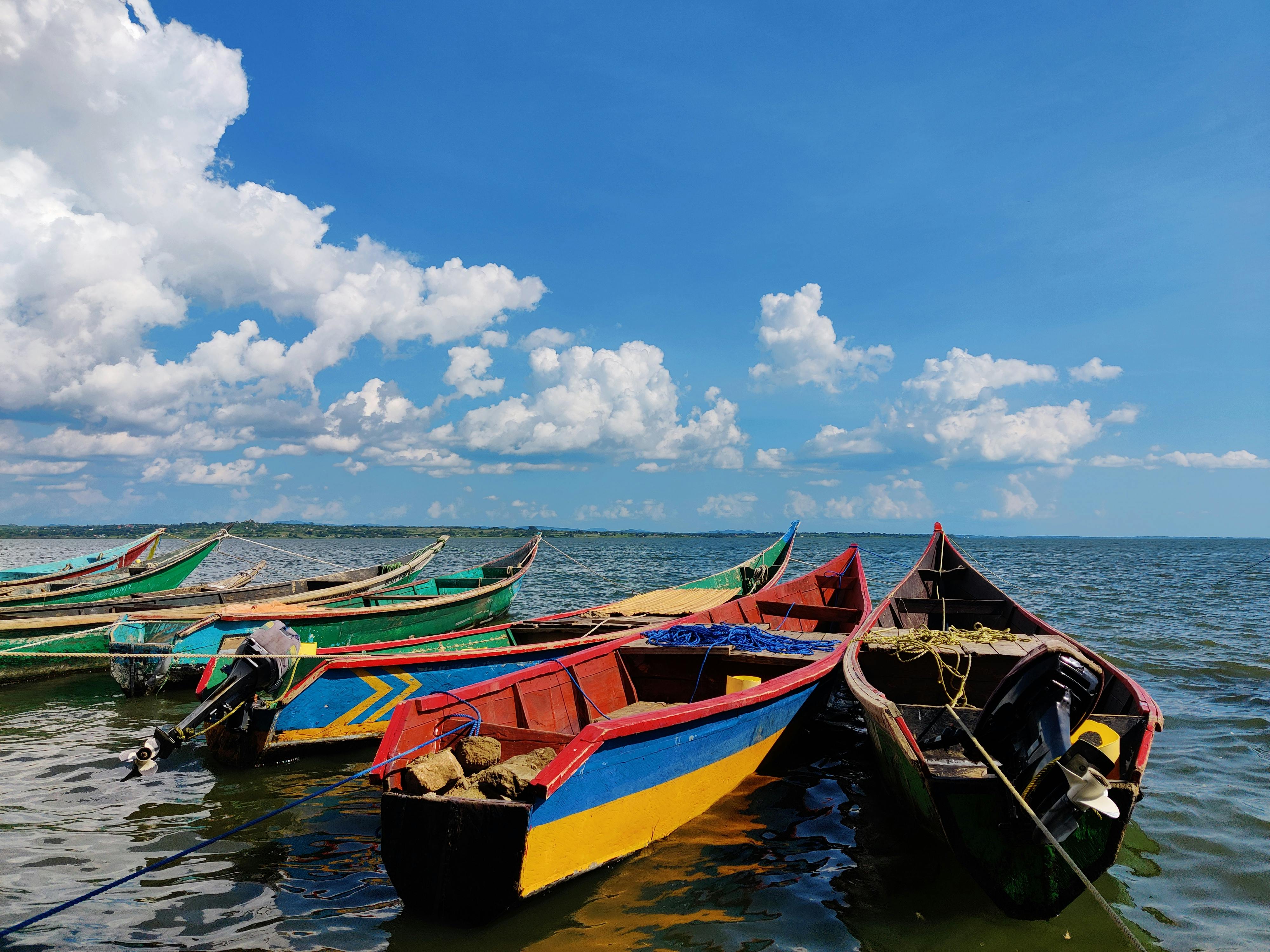 Lake Victoria with colourful fishing boats, representing lakeside communities and freshwater disease ecology.