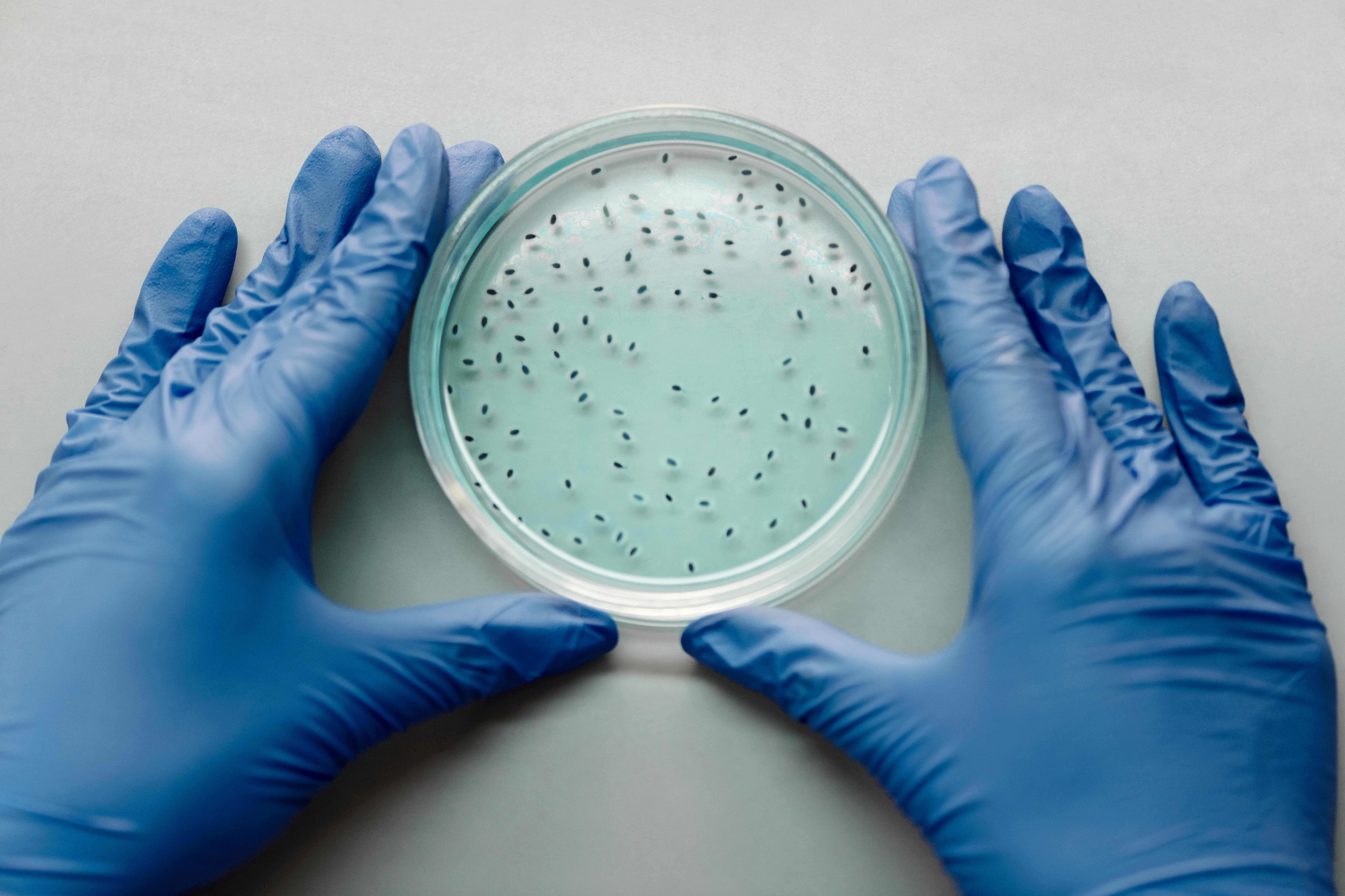 Petri dish in a laboratory