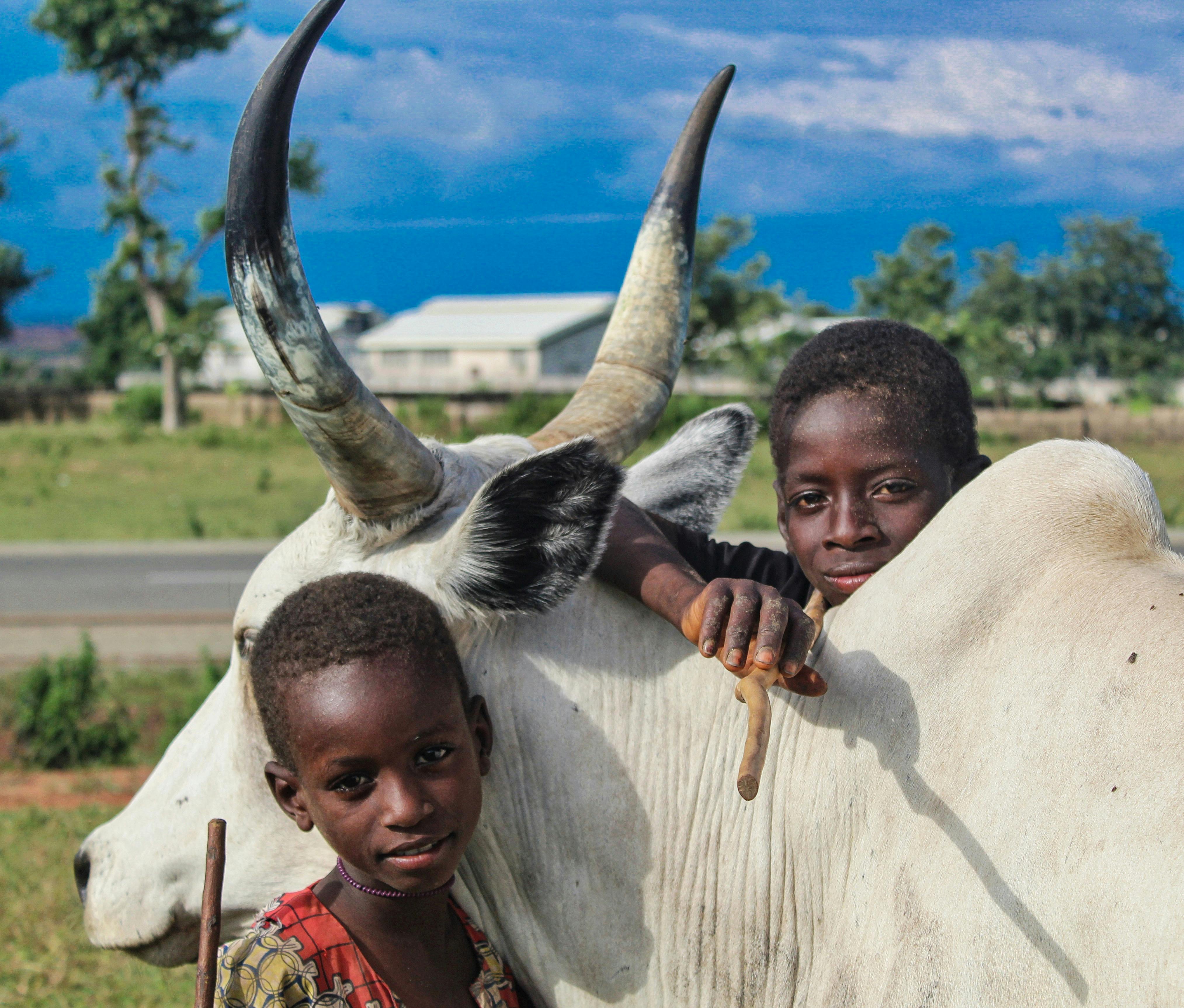 Two children with a cow, representing rural childhood, livestock and One Health contexts.